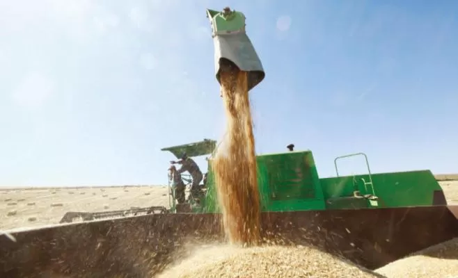 مدار الساعة,أخبار اقتصادية