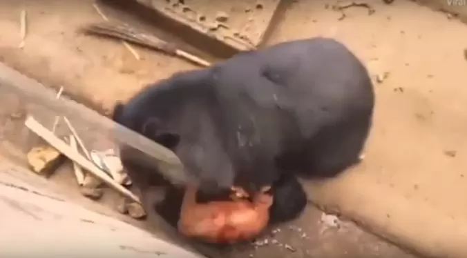 مدار الساعة,أخبار خفيفة ومنوعة