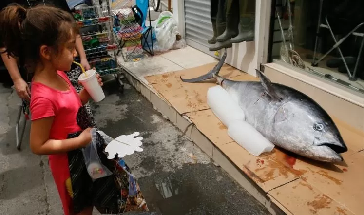 مدار الساعة,أخبار خفيفة ومنوعة