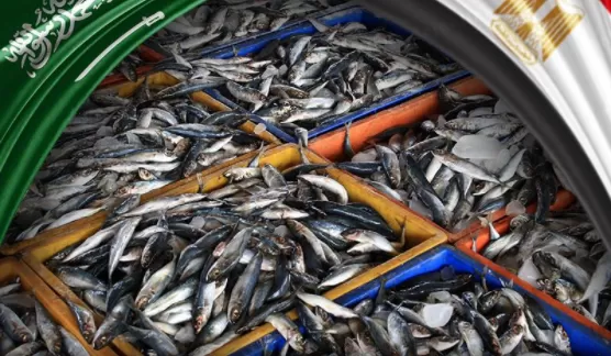 مدار الساعة,أخبار خفيفة ومنوعة,البحوث الزراعية,صحيفة الدستور,مواقع التواصل الاجتماعي