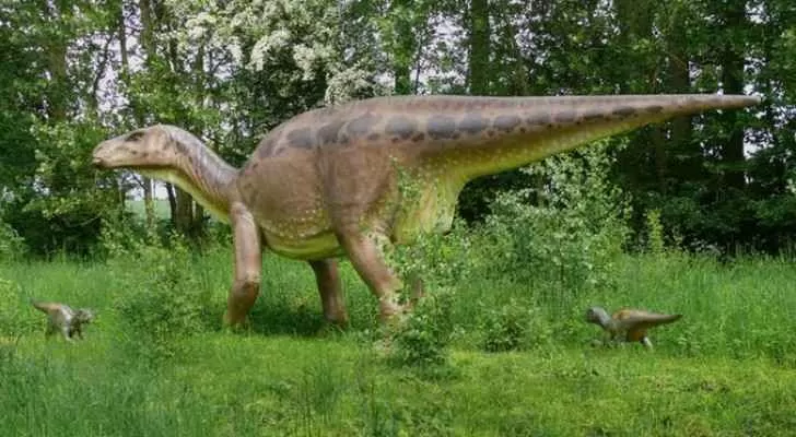 مدار الساعة,أخبار خفيفة ومنوعة