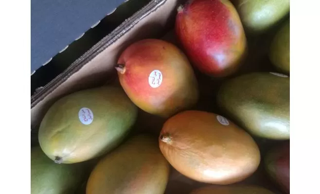 مدار الساعة,أخبار الأردن,اخبار الاردن