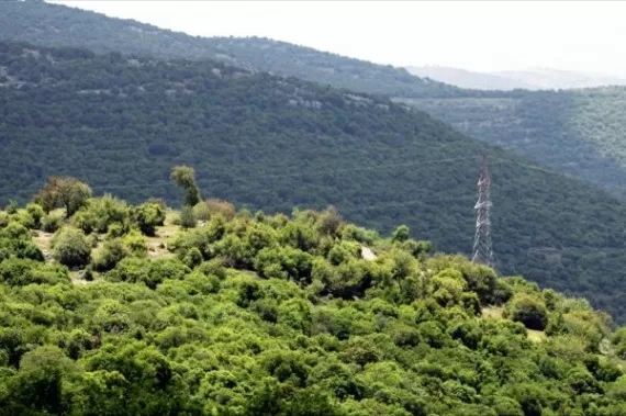 مدار الساعة,أخبار الأردن,اخبار الاردن,وزارة الزراعة