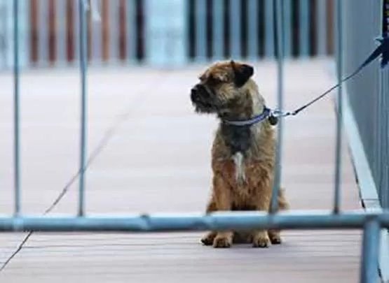 مدار الساعة,أخبار خفيفة ومنوعة,مواقع التواصل الاجتماعي