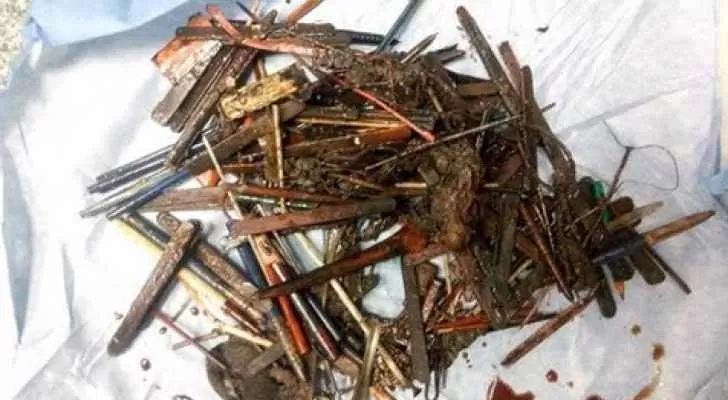 مدار الساعة,أخبار خفيفة ومنوعة