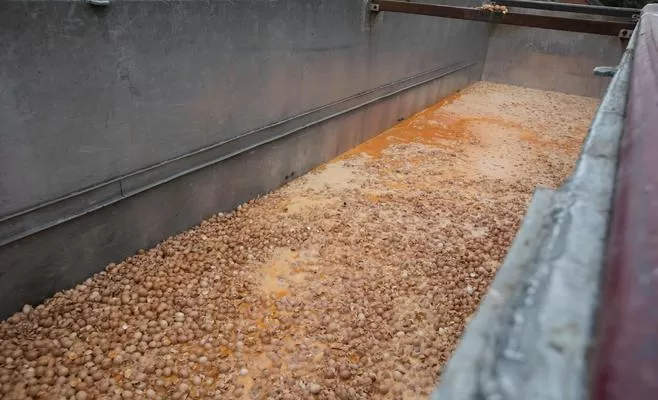 مدار الساعة,أخبار خفيفة ومنوعة,وزير الصحة,الاتحاد الأوروبي