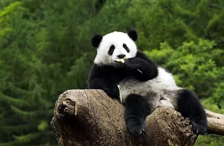 مدار الساعة,أخبار خفيفة ومنوعة