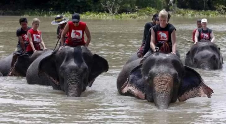 مدار الساعة,أخبار خفيفة ومنوعة