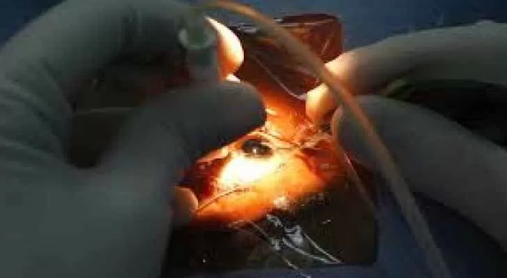 مدار الساعة,أخبار خفيفة ومنوعة