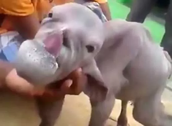 مدار الساعة,Video,فيديو,أخبار خفيفة ومنوعة