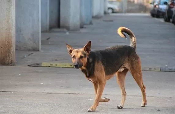 مدار الساعة,أخبار الأردن,اخبار الاردن