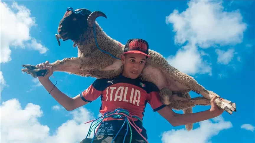 مدار الساعة,أخبار خفيفة ومنوعة,عيد الأضحى