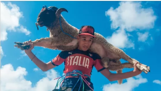 مدار الساعة,أخبار خفيفة ومنوعة,عيد الأضحى,مواقع التواصل الاجتماعي