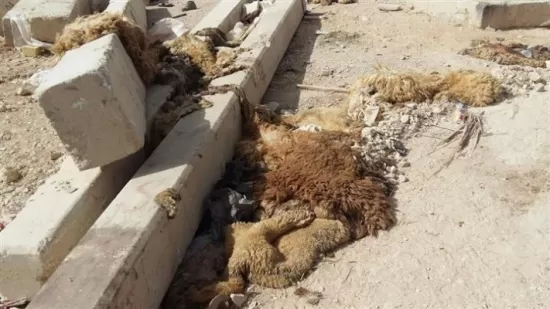 مدار الساعة,أخبار الأردن,اخبار الاردن