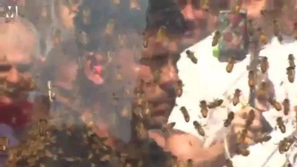 مدار الساعة,Video,فيديو,أخبار خفيفة ومنوعة