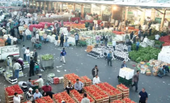 مدار الساعة,أخبار الأردن,اخبار الاردن,وزير الزراعة,درجات الحرارة