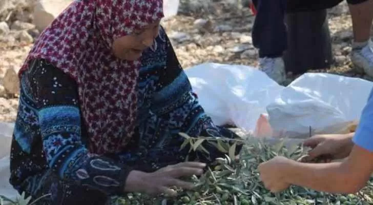 مدار الساعة,أخبار الأردن,اخبار الاردن