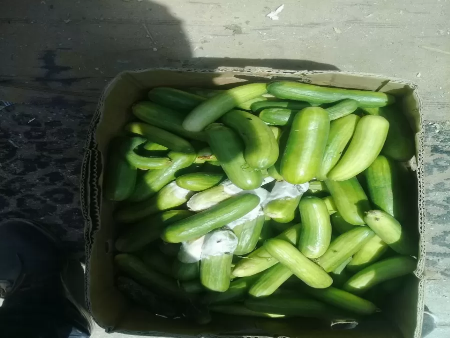 مدار الساعة,أخبار الأردن,اخبار الاردن,بلدية الزرقاء