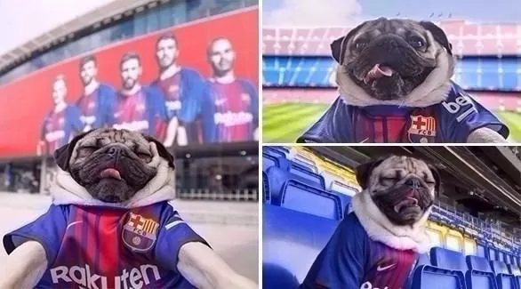 مدار الساعة,أخبار رياضية,مواقع التواصل الاجتماعي