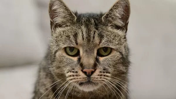 مدار الساعة,أخبار خفيفة ومنوعة