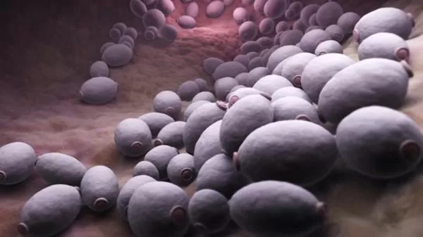 مدار الساعة,أخبار خفيفة ومنوعة