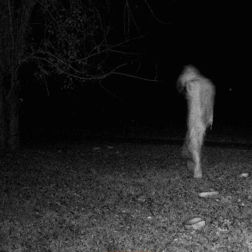 مدار الساعة,أخبار خفيفة ومنوعة