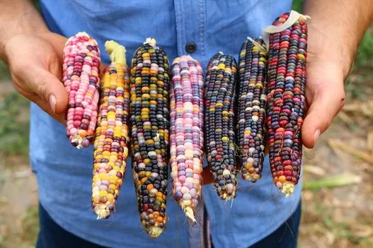 مدار الساعة,أخبار خفيفة ومنوعة