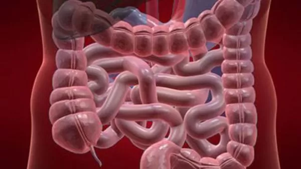 مدار الساعة,أخبار خفيفة ومنوعة