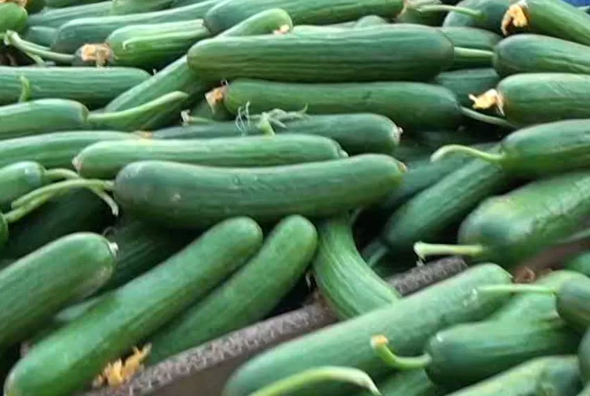 مدار الساعة,أخبار الأردن,اخبار الاردن