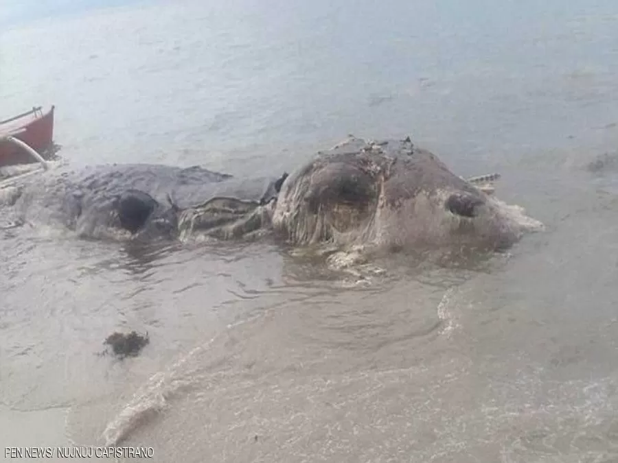 مدار الساعة,أخبار خفيفة ومنوعة