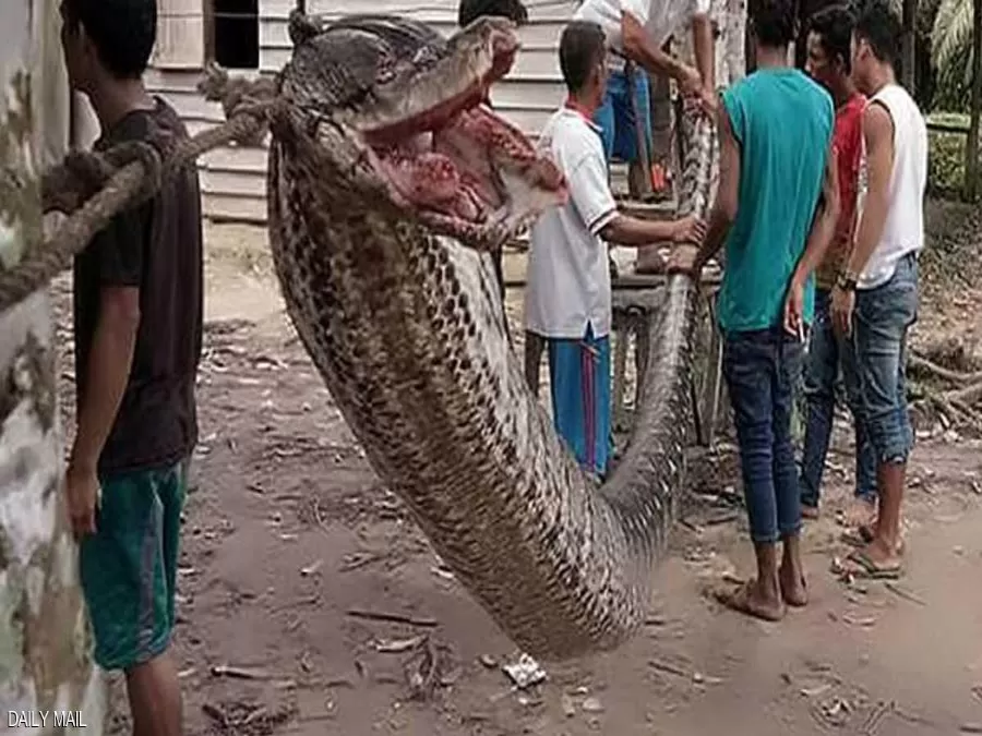 مدار الساعة,أخبار خفيفة ومنوعة