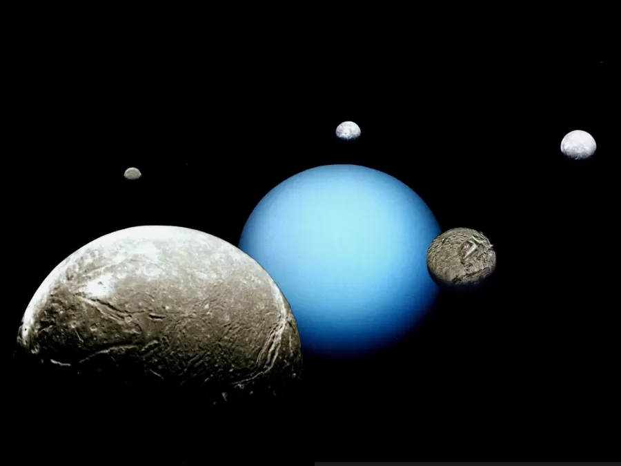 مدار الساعة,أخبار خفيفة ومنوعة