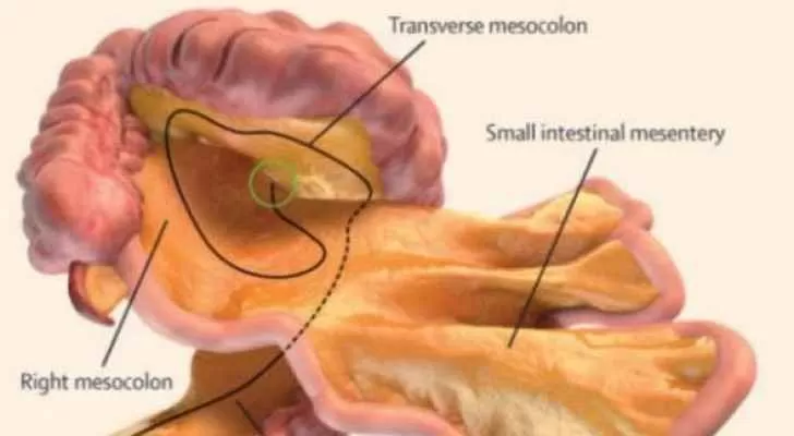 مدار الساعة,أخبار خفيفة ومنوعة