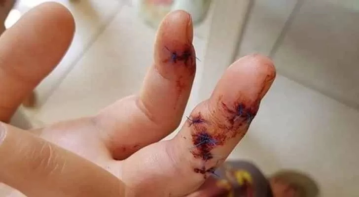 مدار الساعة,أخبار الأردن,اخبار الاردن,النيابة العامة