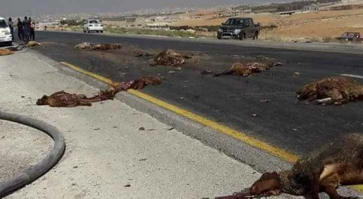 مدار الساعة,أخبار الأردن,اخبار الاردن,الدفاع المدني