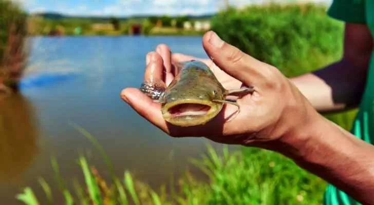 مدار الساعة,أخبار خفيفة ومنوعة