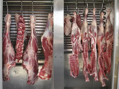 مدار الساعة,أخبار الأردن,اخبار الاردن,أمانة عمان