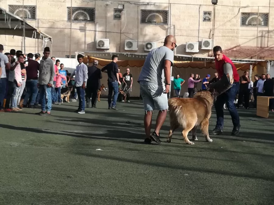مدار الساعة,أسرار أردنية,مواقع التواصل الاجتماعي