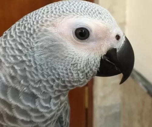 مدار الساعة,أخبار خفيفة ومنوعة