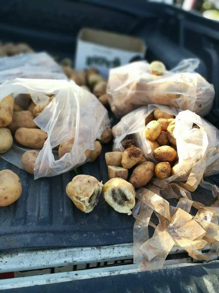 مدار الساعة,أخبار الأردن,اخبار الاردن