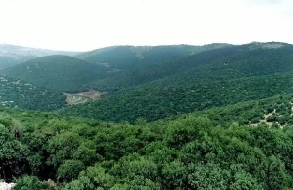 مدار الساعة,أخبار الأردن,اخبار الاردن,وزير الزراعة,أمانة عمان