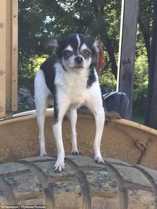 مدار الساعة,أخبار خفيفة ومنوعة