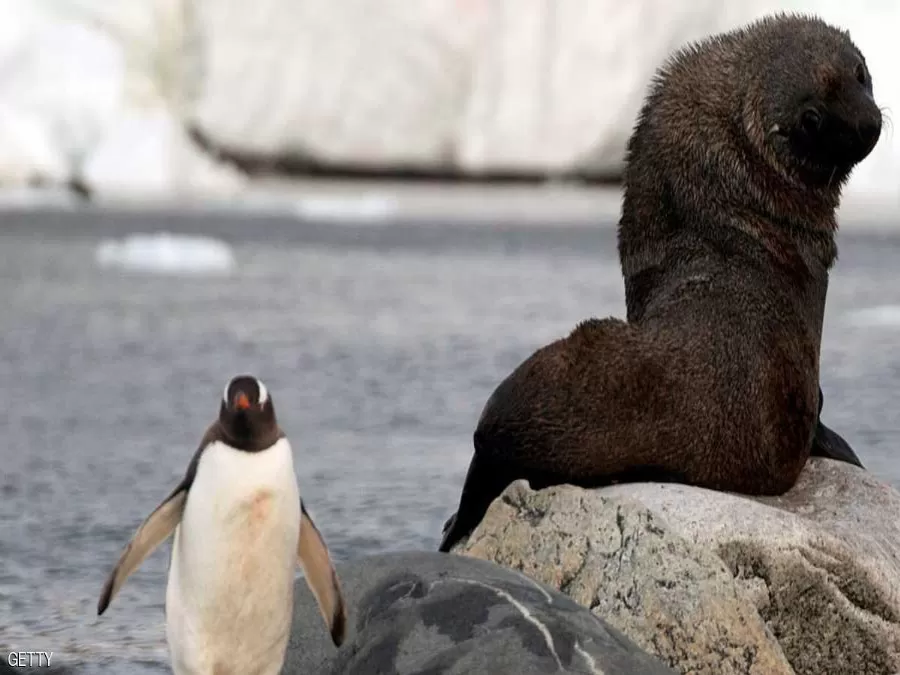 مدار الساعة,أخبار خفيفة ومنوعة