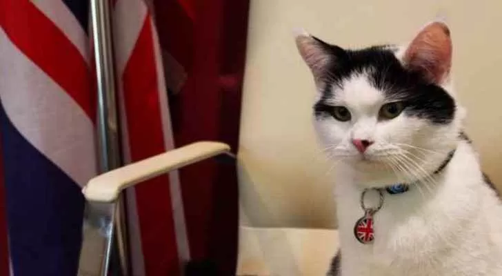 مدار الساعة,أخبار خفيفة ومنوعة,وزارة الخارجية