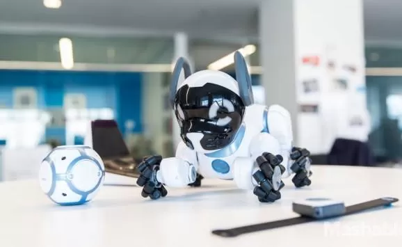 مدار الساعة,Video,فيديو,أخبار خفيفة ومنوعة,الذكاء الاصطناعي