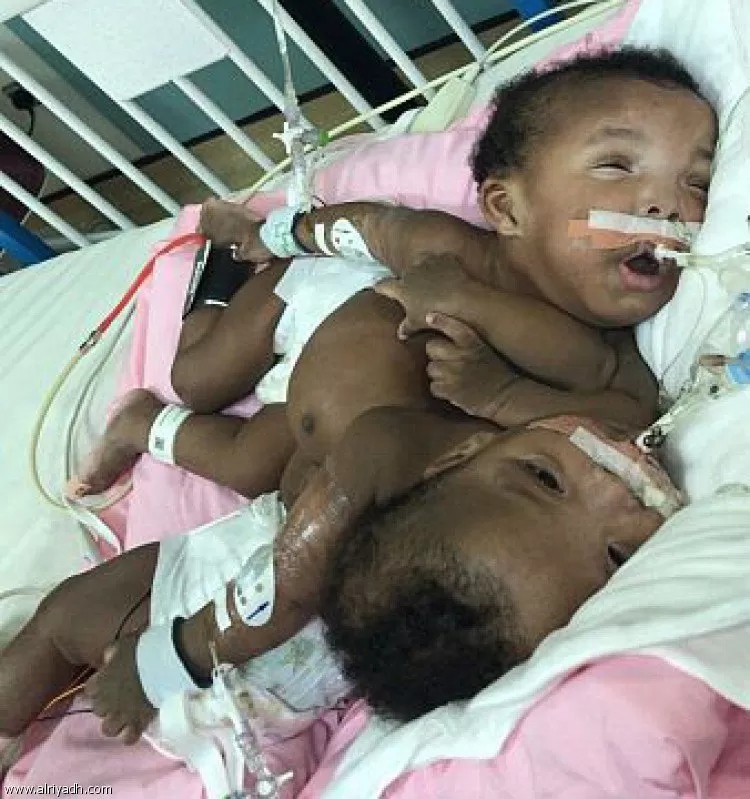 مدار الساعة,أخبار خفيفة ومنوعة,وزير الدفاع,ولي العهد,الأمير محمد بن سلمان