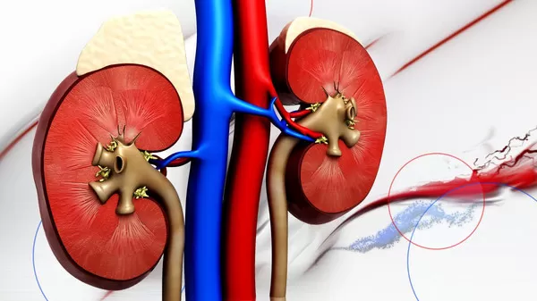 مدار الساعة,أخبار خفيفة ومنوعة