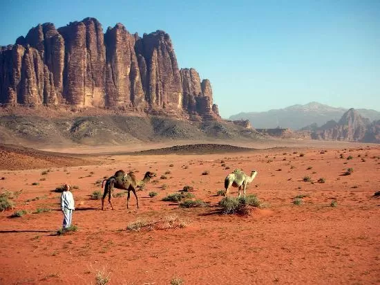 مدار الساعة,أخبار الأردن,اخبار الاردن,الدفاع المدني