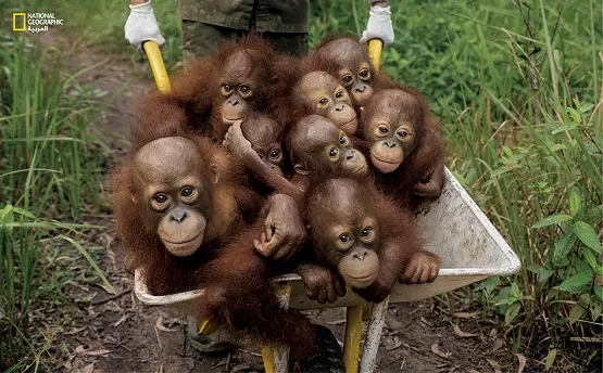 مدار الساعة,أخبار خفيفة ومنوعة