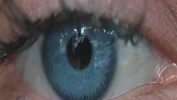 مدار الساعة,أخبار خفيفة ومنوعة